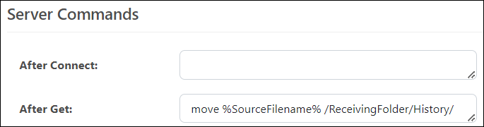 Server command example
